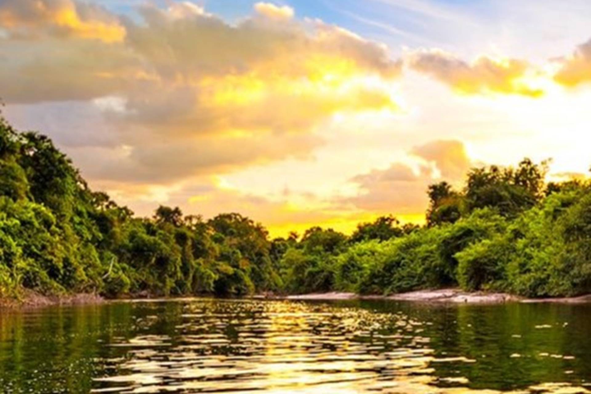 Z Amazon River 1920x1280