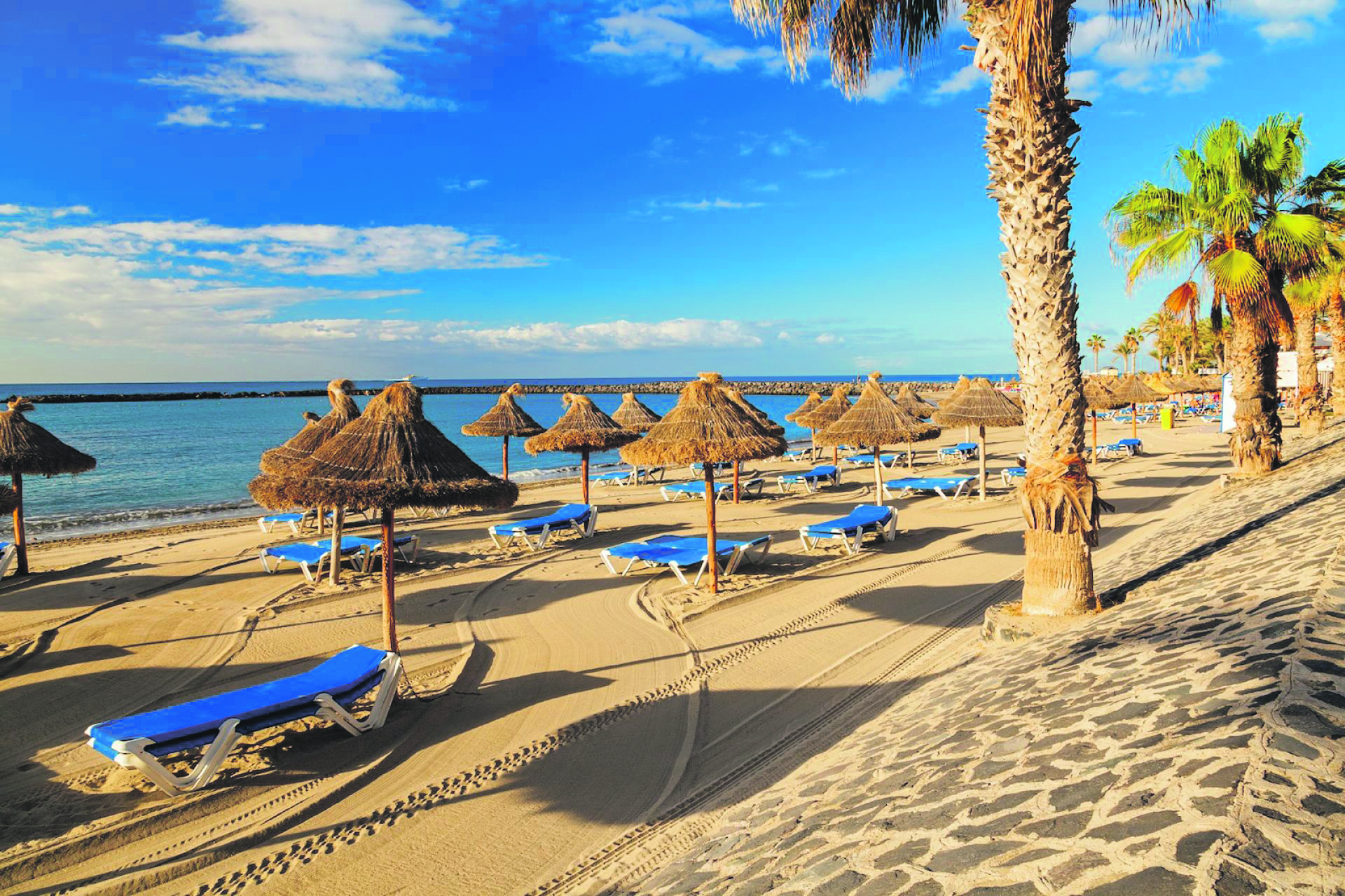 Canaries Tenerife