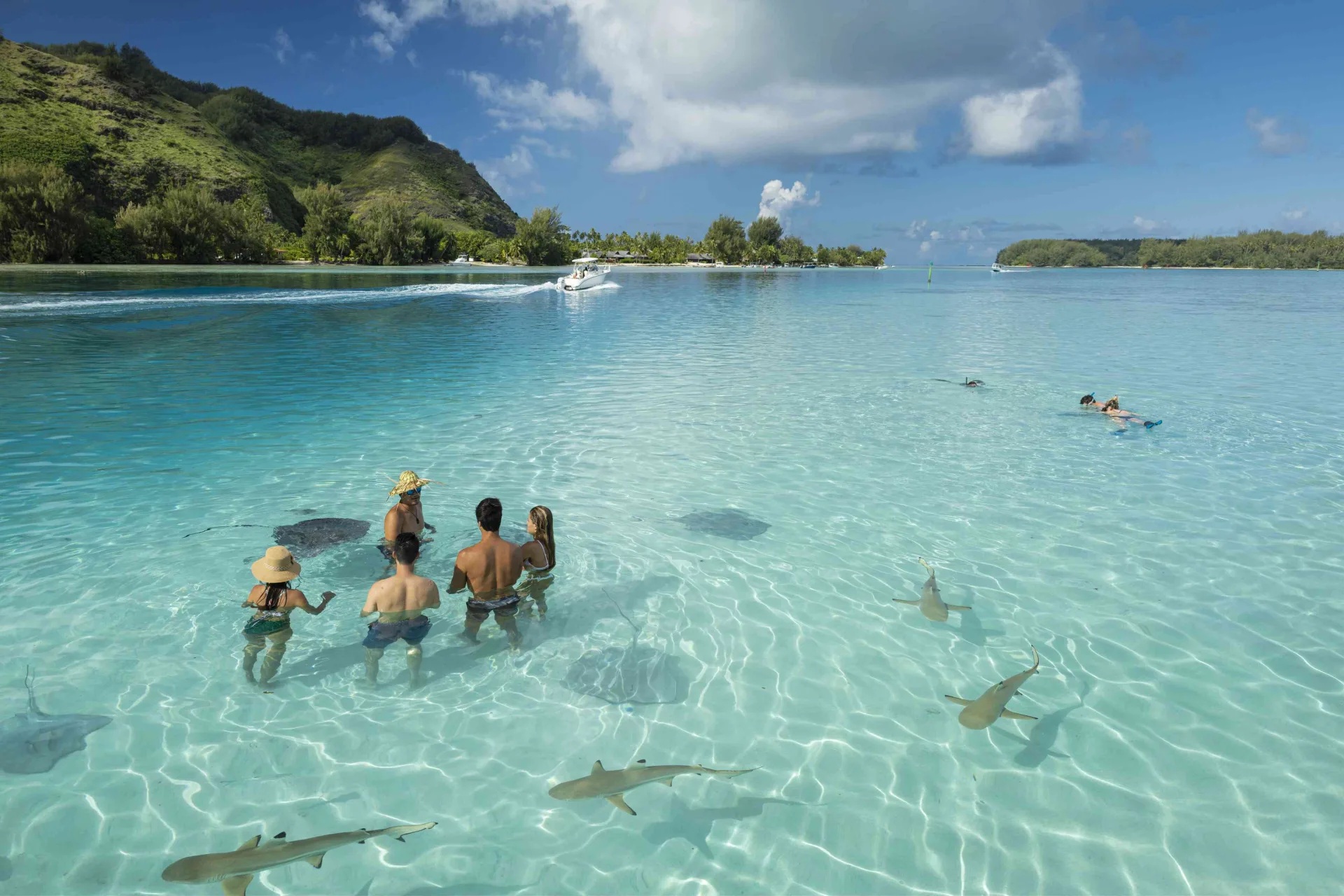 moorea 1 Azamara