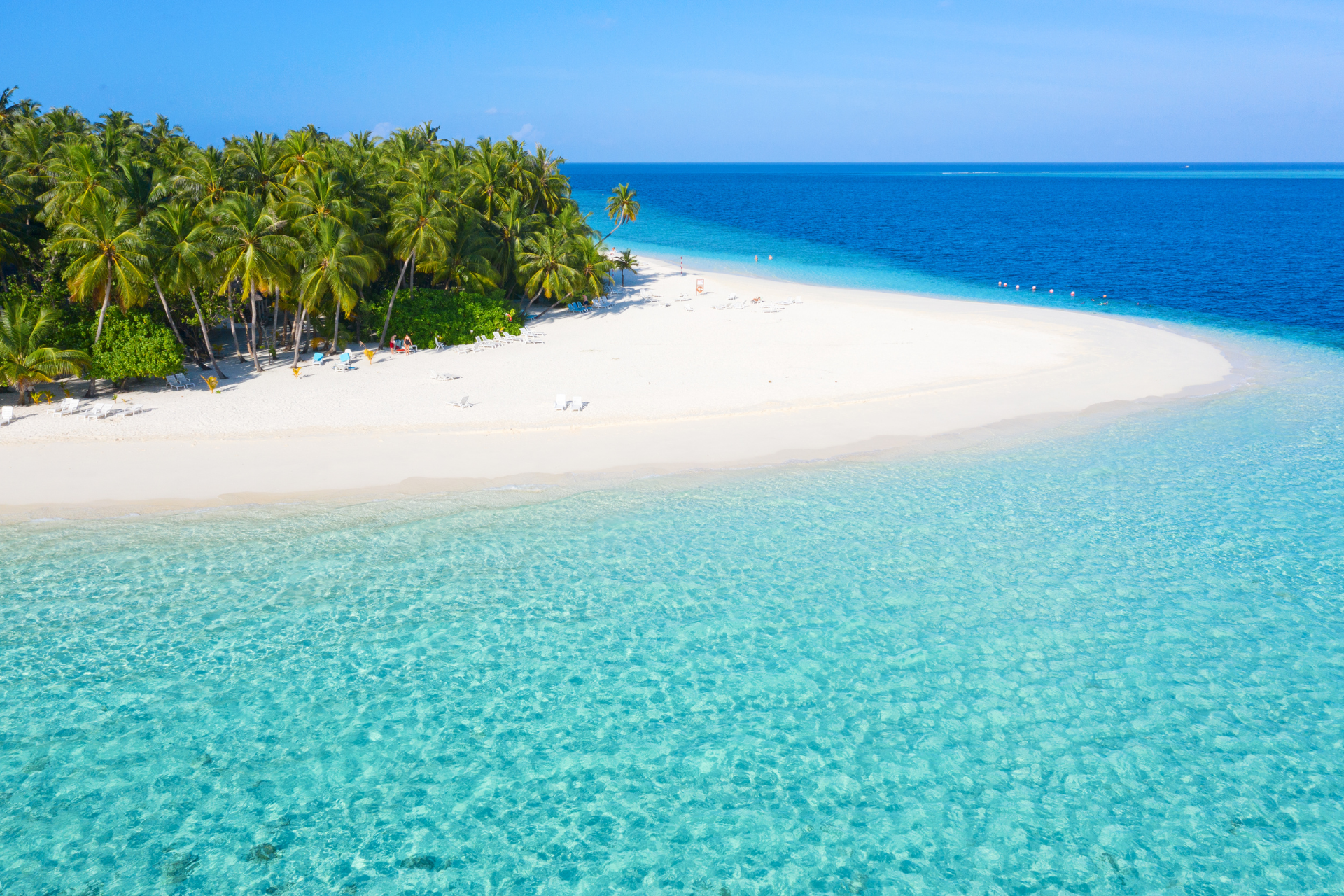 A paradise like beach in The Maldives