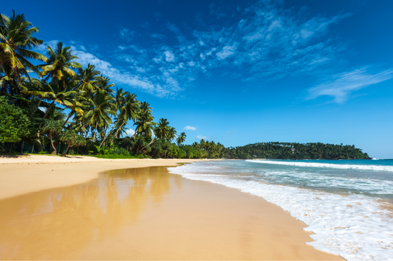 A stunning golden beach in Sri Lanka