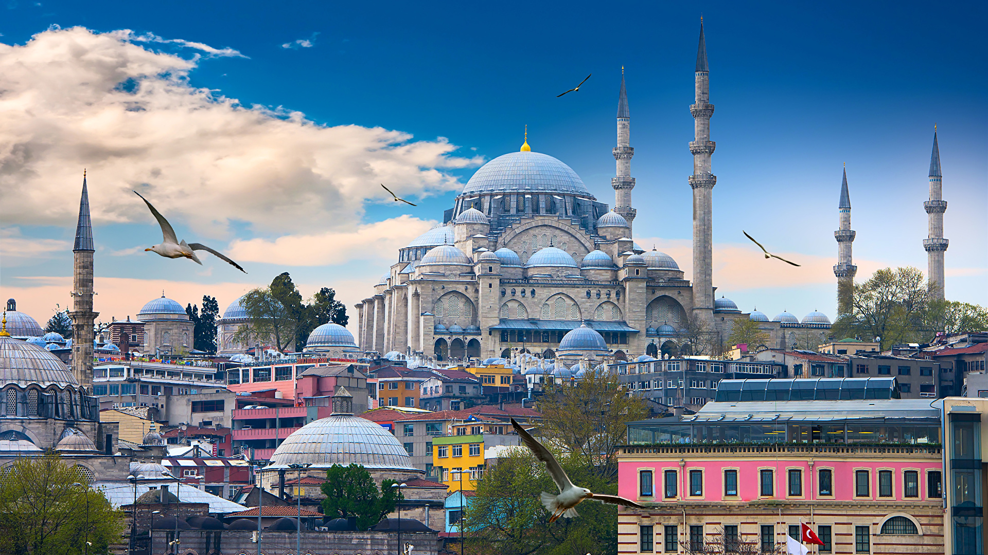 Istanbul Turkey Houses Temples Birds Clouds
