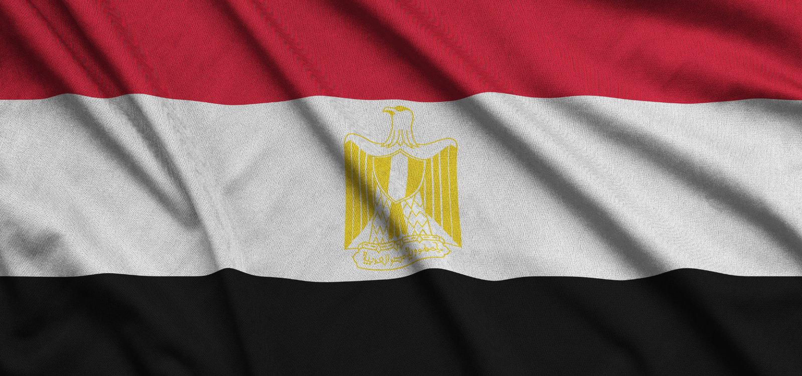 The Egyptian Flag